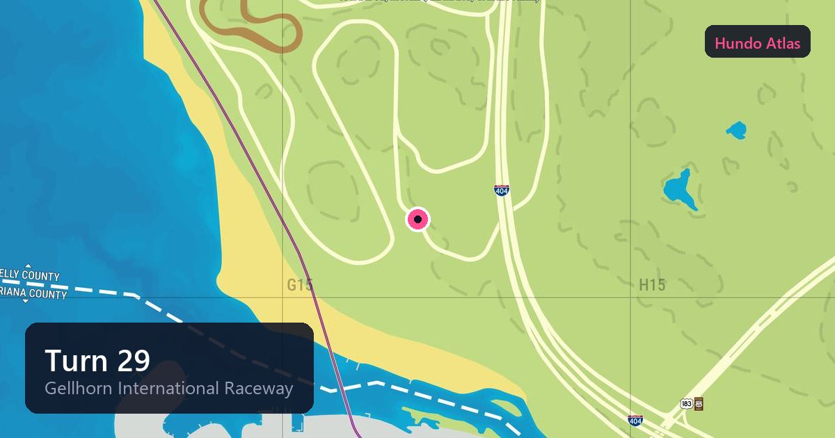 Turn 29
