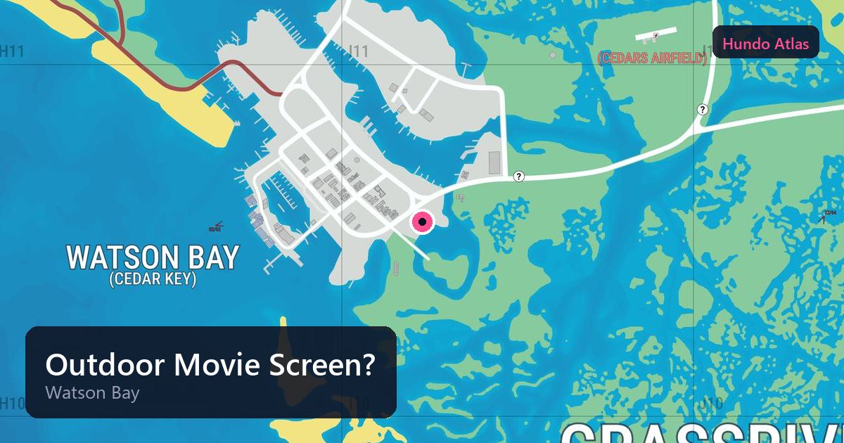 Outdoor Movie Screen?